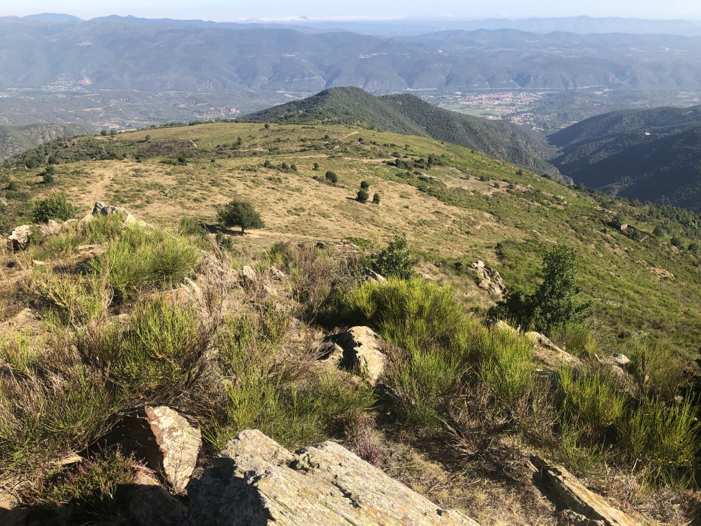 landes au sud du Puig des Feixes